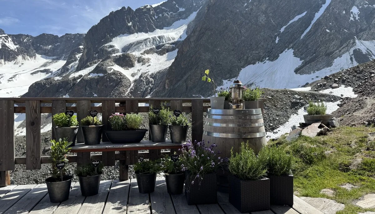 © Jörg Meyer-Scholten